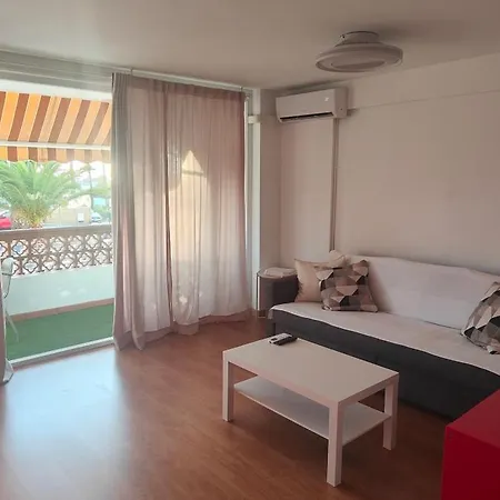 Flamingo Palmar Palm-mar