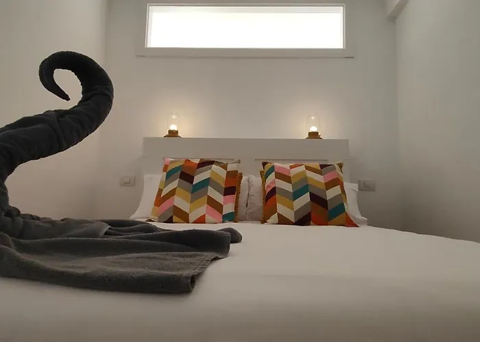 Flamingo Palmar Apartman