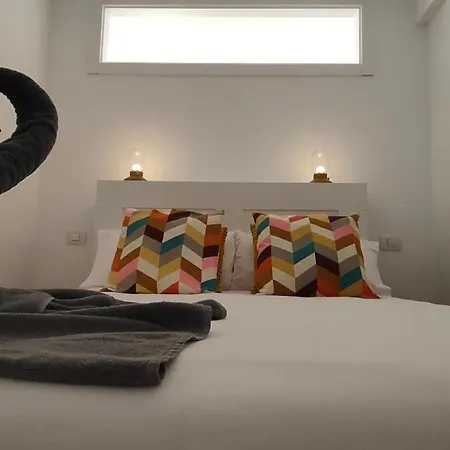 Flamingo Palmar Lägenhet