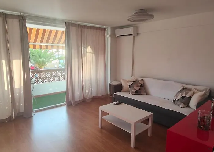 Flamingo Palmar Palm-mar