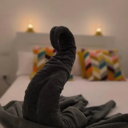 Flamingo Palmar